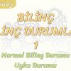 BİLİNÇ DURUMLARI – 1 /  NORMAL BİLİNÇ DURUMU – UYKU DURUMU