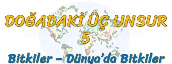 BİTKİLER – DÜNYA DA BİTKİLER (DOĞADAKİ ÜÇ UNSUR – 5) -TYT