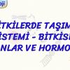 BİTKİLERDE TAŞIMA SİSTEMİ – BİTKİSEL ORGANLAR VE HORMONLAR