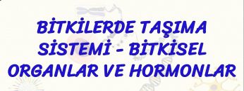 BİTKİLERDE TAŞIMA SİSTEMİ – BİTKİSEL ORGANLAR VE HORMONLAR