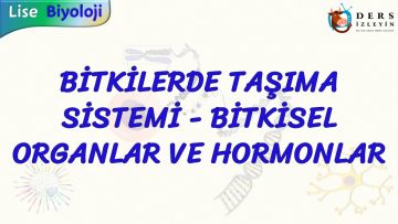 BİTKİLERDE TAŞIMA SİSTEMİ – BİTKİSEL ORGANLAR VE HORMONLAR