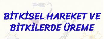BİTKİSEL HAREKET VE BİTKİLERDE ÜREME