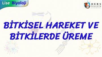 BİTKİSEL HAREKET VE BİTKİLERDE ÜREME