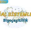 BİYOÇEŞİTLİLİK (DOĞAL SİSTEMLER – 1) (AYT)