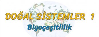 BİYOÇEŞİTLİLİK (DOĞAL SİSTEMLER – 1) (AYT)