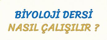 BİYOLOJİ DERSİ NASIL ÇALIŞILIR