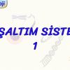 BOŞALTIM SİSTEMİ – 1