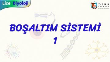 BOŞALTIM SİSTEMİ – 1