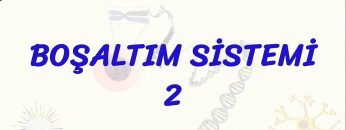 BOŞALTIM SİSTEMİ – 2