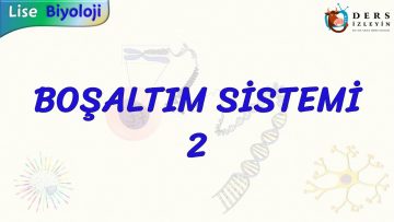 BOŞALTIM SİSTEMİ – 2
