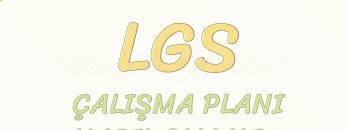 ÇALIŞMA PLANI NASIL OLMALI-LGS