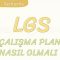 ÇALIŞMA PLANI NASIL OLMALI-LGS