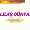 CANLILAR DÜNYASI – 2 / HAYVANLAR