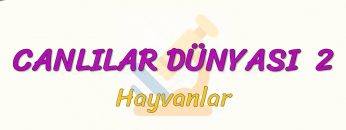 CANLILAR DÜNYASI – 2 / HAYVANLAR