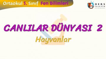 CANLILAR DÜNYASI – 2 / HAYVANLAR