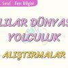 CANLILAR DÜNYASINA YOLCULUK-ALIŞTIRMALAR
