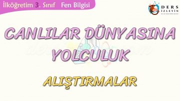 CANLILAR DÜNYASINA YOLCULUK-ALIŞTIRMALAR
