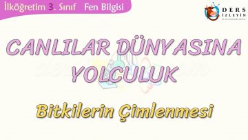 CANLILAR DÜNYASINA YOLCULUK-BİTKİLERİN ÇİMLENMESİ