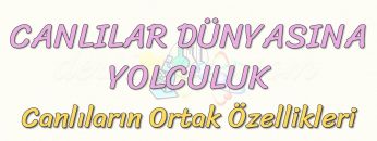CANLILAR DÜNYASINA YOLCULUK-CANLILARIN ORTAK ÖZELLİKLERİ-2
