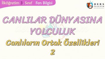 CANLILAR DÜNYASINA YOLCULUK-CANLILARIN ORTAK ÖZELLİKLERİ-2
