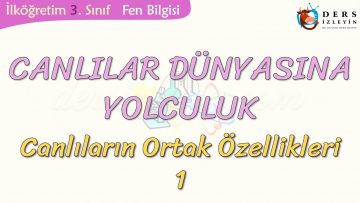 CANLILAR DÜNYASINA YOLCULUK-CANLILARIN ORTAK ÖZELLİKLERİ-1