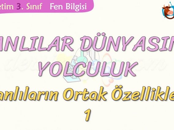 CANLILAR DÜNYASINA YOLCULUK-CANLILARIN ORTAK ÖZELLİKLERİ-1