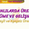 CANLILARDA ÜREME BÜYÜME VE GELİŞME – 2 / EŞEYLİ VE EŞEYSİZ ÜREME