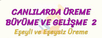 CANLILARDA ÜREME BÜYÜME VE GELİŞME – 2 / EŞEYLİ VE EŞEYSİZ ÜREME