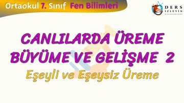 CANLILARDA ÜREME BÜYÜME VE GELİŞME – 2 / EŞEYLİ VE EŞEYSİZ ÜREME