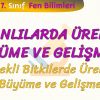CANLILARDA ÜREME BÜYÜME VE GELİŞME – 3 / ÇİÇEKLİ BİTKİLERDE ÜREME BÜYÜME VE GELİŞME