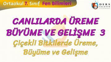 CANLILARDA ÜREME BÜYÜME VE GELİŞME – 3 / ÇİÇEKLİ BİTKİLERDE ÜREME BÜYÜME VE GELİŞME