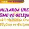CANLILARDA ÜREME BÜYÜME VE GELİŞME – 3 / ÇİÇEKLİ BİTKİLERDE ÜREME BÜYÜME VE GELİŞME