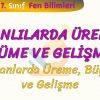 CANLILARDA ÜREME BÜYÜME VE GELİŞME – 4 / HAYVANLARDA ÜREME BÜYÜME VE GELİŞME