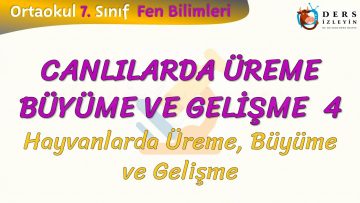 CANLILARDA ÜREME BÜYÜME VE GELİŞME – 4 / HAYVANLARDA ÜREME BÜYÜME VE GELİŞME