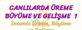 CANLILARDA ÜREME BÜYÜME VE GELİŞME – 1/ İNSANDA ÜREME BÜYÜME VE GELİŞME