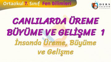 CANLILARDA ÜREME BÜYÜME VE GELİŞME – 1/ İNSANDA ÜREME BÜYÜME VE GELİŞME