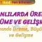 CANLILARDA ÜREME BÜYÜME VE GELİŞME – 1/ İNSANDA ÜREME BÜYÜME VE GELİŞME