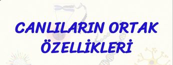 CANLILARIN ORTAK ÖZELLİKLERİ