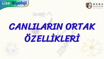 CANLILARIN ORTAK ÖZELLİKLERİ