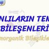 CANLILARIN TEMEL BİLEŞENLERİ / İNORGANİK BİLEŞİKLER