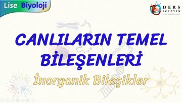 CANLILARIN TEMEL BİLEŞENLERİ / İNORGANİK BİLEŞİKLER