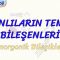 CANLILARIN TEMEL BİLEŞENLERİ / İNORGANİK BİLEŞİKLER