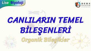CANLILARIN TEMEL BİLEŞENLERİ / ORGANİK BİLEŞİKLER