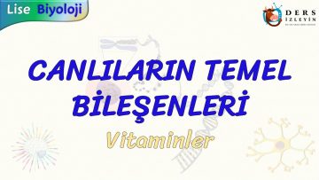 CANLILARIN TEMEL BİLEŞENLERİ  / VİTAMİNLER