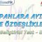 ÇARPANLARA AYIRMA VE ÖZDEŞLİKLER / GELİŞTİRİCİ TEST -8