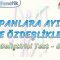 ÇARPANLARA AYIRMA VE ÖZDEŞLİKLER / GELİŞTİRİCİ TEST – 6
