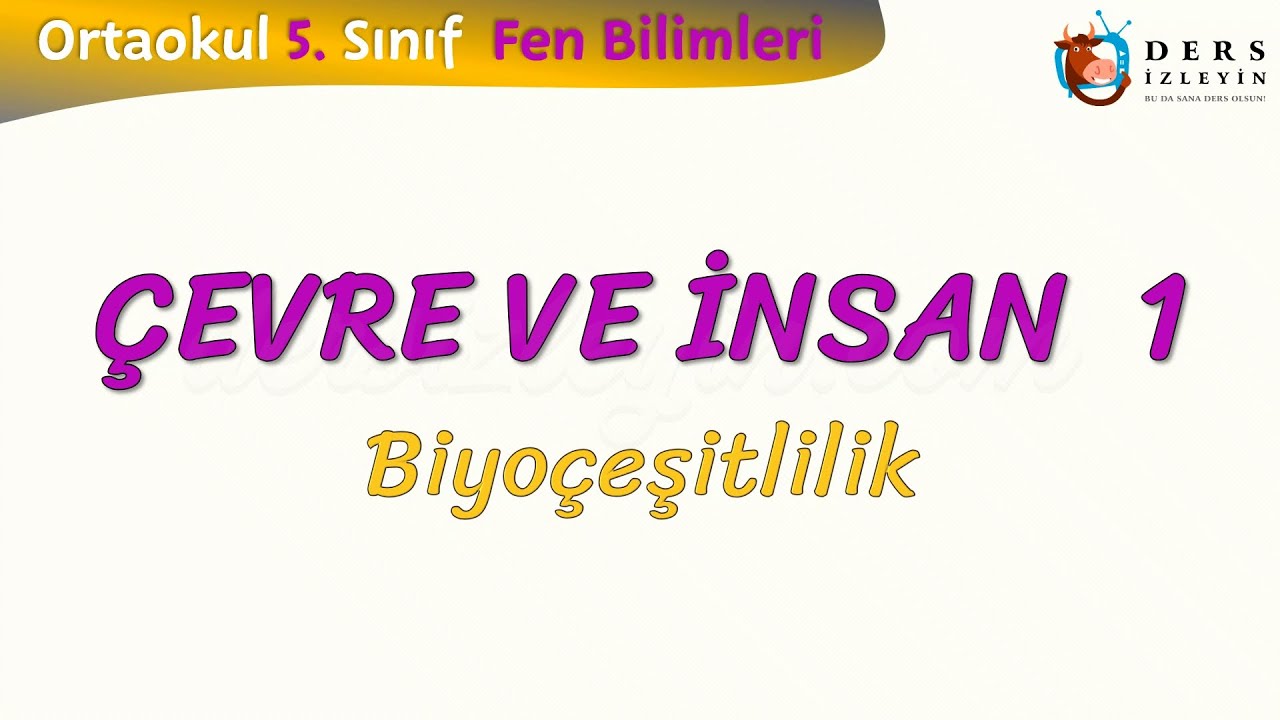 Resim Önceden Yükle