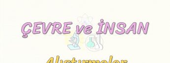 ÇEVRE VE İNSAN-ALIŞTIRMALAR