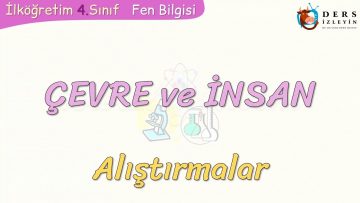 ÇEVRE VE İNSAN-ALIŞTIRMALAR