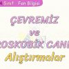 ÇEVREMİZ VE MİKROSKOBİK CANLILAR-ALIŞTIRMALAR